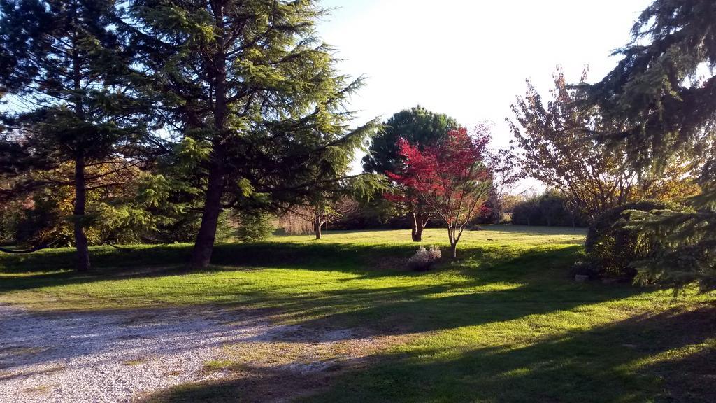 Buia Al Campo Di Sotto Bed & Breakfast מראה חיצוני תמונה