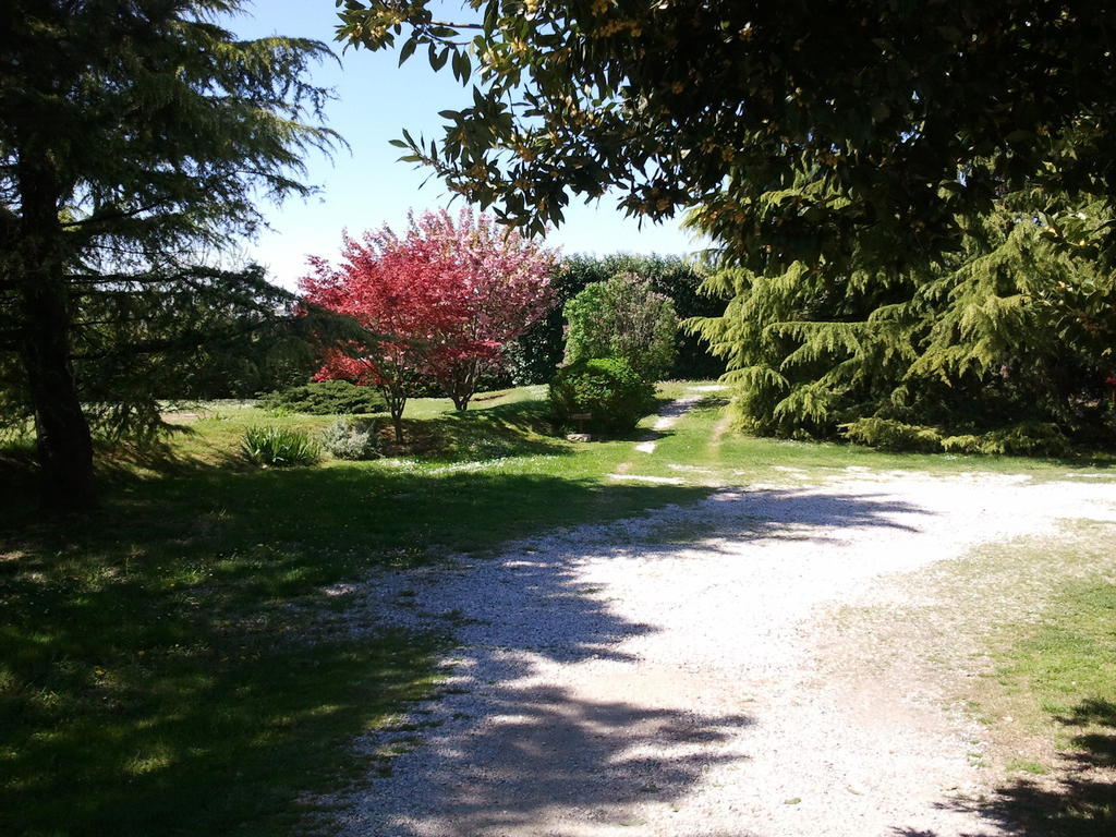 Buia Al Campo Di Sotto Bed & Breakfast מראה חיצוני תמונה